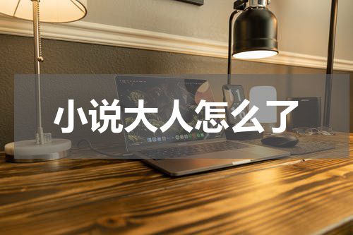 小说大人怎么了