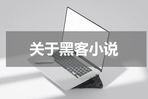 关于黑客小说