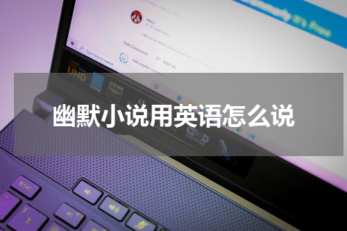 幽默小说用英语怎么说