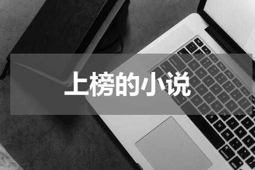 上榜的小说