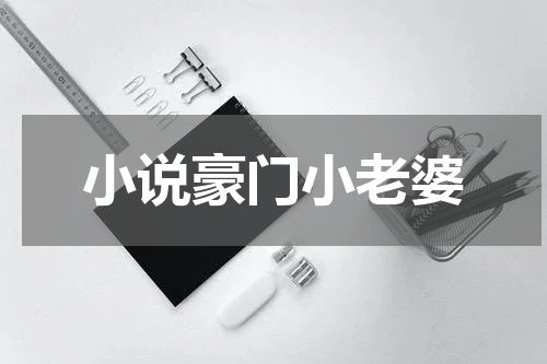 小说豪门小老婆