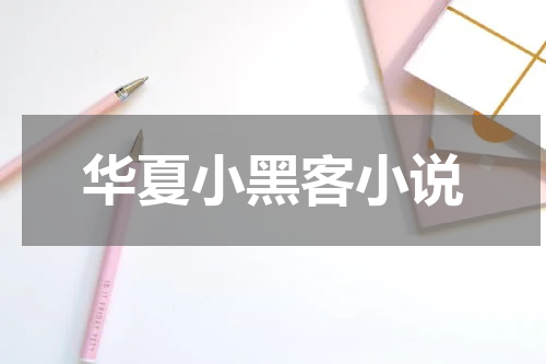 华夏小黑客小说