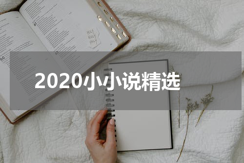 2020小小说精选