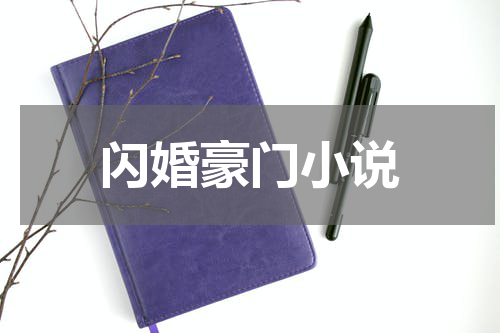 闪婚豪门小说