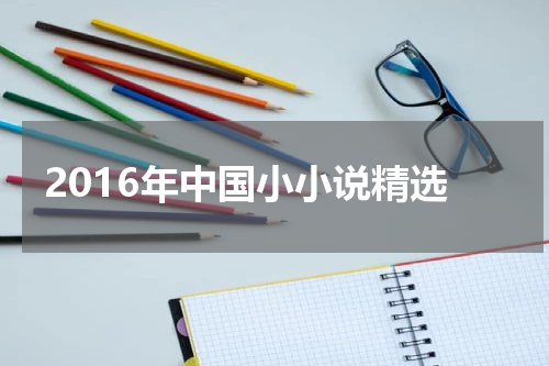 2016年中国小小说精选