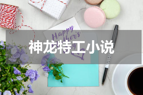 神龙特工小说