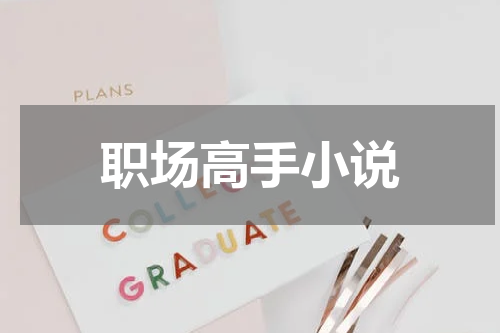 职场高手小说