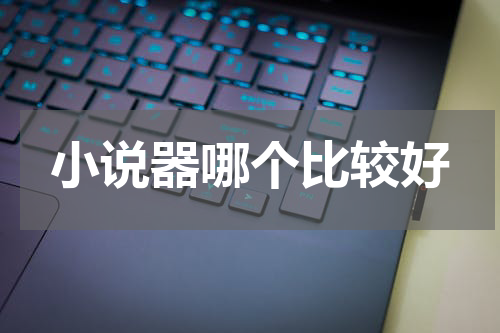 小说器哪个比较好