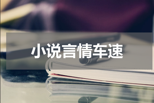 小说言情车速