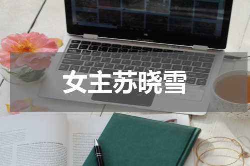女主苏晓雪