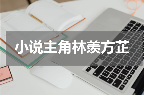 小说主角林羡方芷