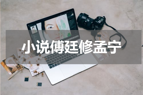小说傅廷修孟宁