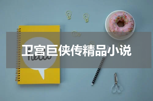 卫宫巨侠传精品小说