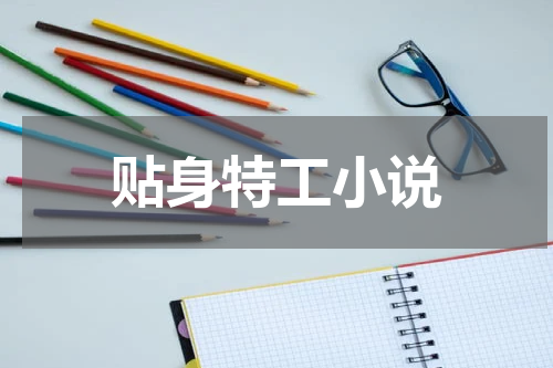 贴身特工小说