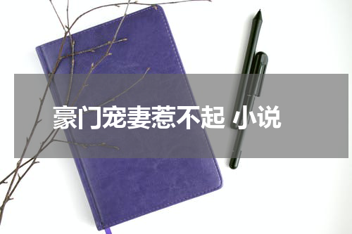 豪门宠妻惹不起 小说
