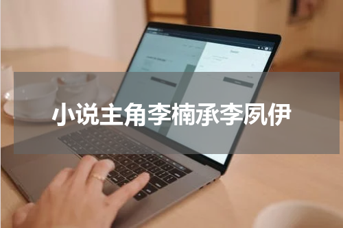 小说主角李楠承李夙伊