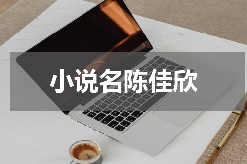 小说名陈佳欣