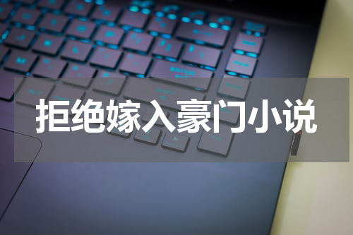 拒绝嫁入豪门小说