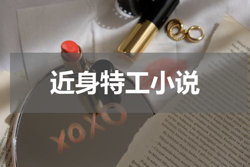 近身特工小说
