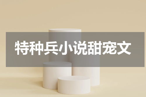 特种兵小说甜宠文