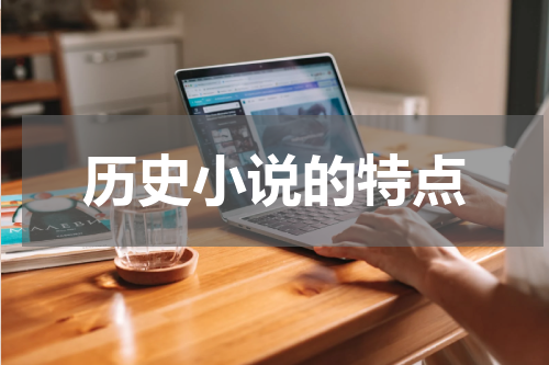 历史小说的特点