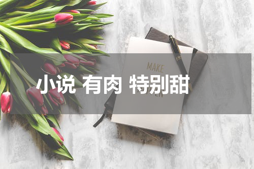 小说 有肉 特别甜