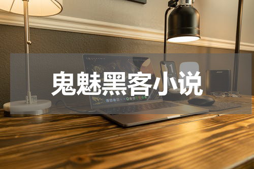 鬼魅黑客小说