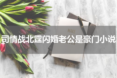 司情战北霆闪婚老公是豪门小说