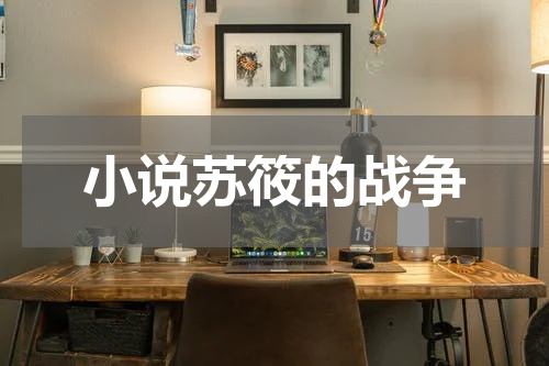 小说苏筱的战争