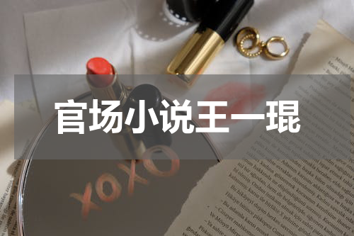 官场小说王一琨