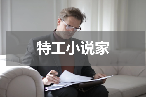 特工小说家
