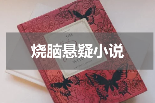 烧脑悬疑小说