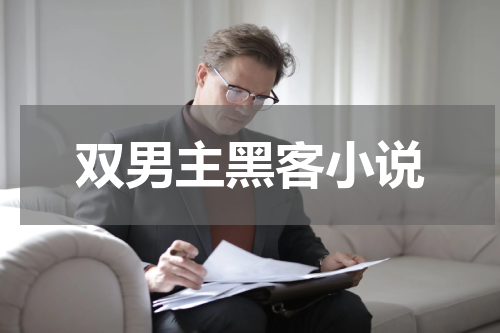 双男主黑客小说