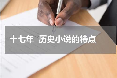 十七年  历史小说的特点