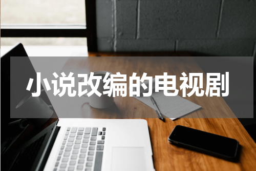 小说改编的电视剧