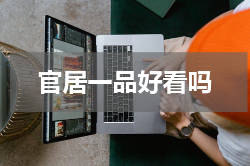 官居一品好看吗