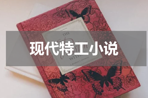 现代特工小说