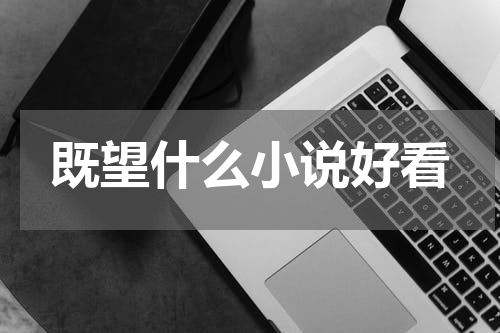 既望什么小说好看