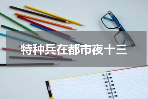 特种兵在都市夜十三