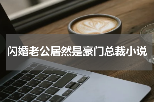 闪婚老公居然是豪门总裁小说