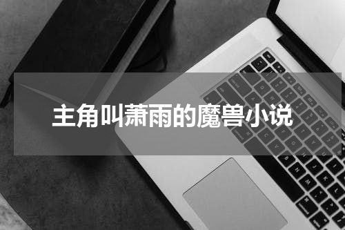 主角叫萧雨的魔兽小说