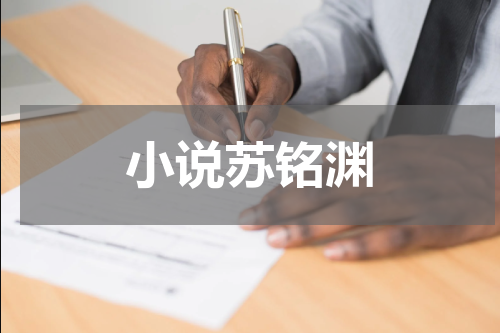 小说苏铭渊