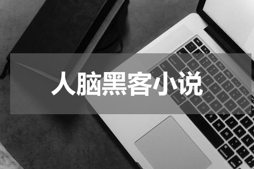 人脑黑客小说