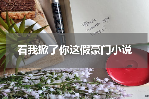 看我掀了你这假豪门小说