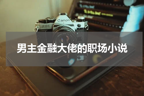男主金融大佬的职场小说