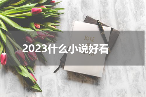 2023什么小说好看