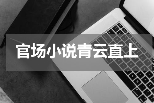 官场小说青云直上