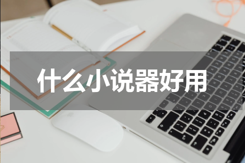 什么小说器好用