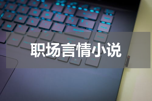 职场言情小说