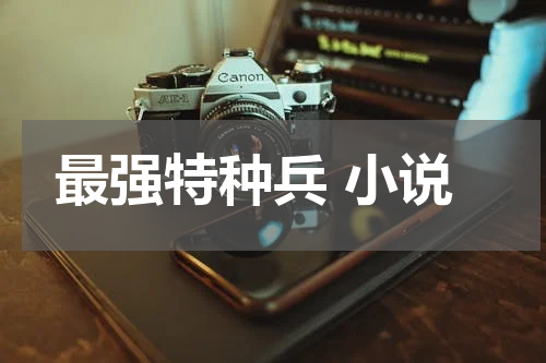 最强特种兵 小说